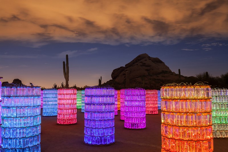 Bruce Munro: Sonoran Light at Desert Botanical Garden