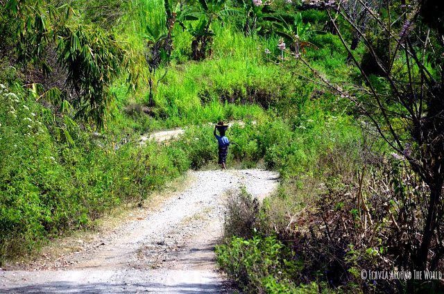 Por el camino a Moni Por el camino a Moni