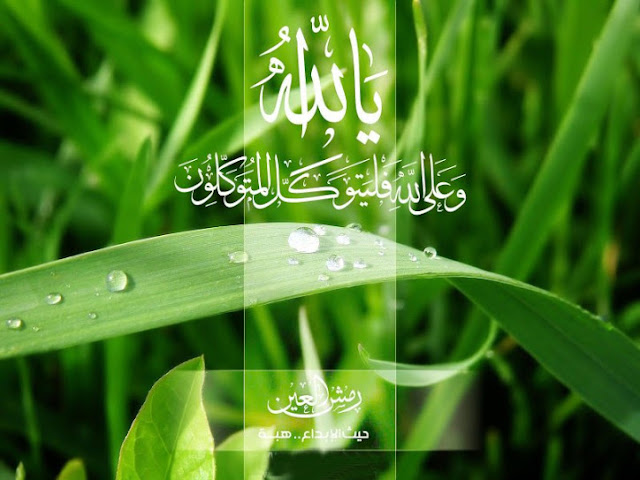 http://4.bp.blogspot.com/-C3U4YbaM0uQ/ULVLfwoOh_I/AAAAAAAABKA/32rB4i78tzw/s1600/Cara+mensyukuri+nikmat+Allah+swt.jpg
