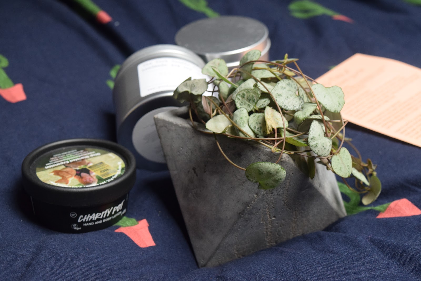 Stylish Leeds Haul ♡ LUSH, The York Candle Co, Geo Fleur Candyfloss