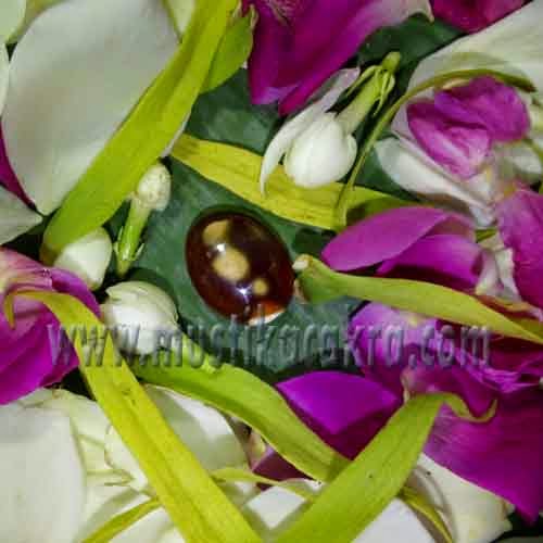 Mustika Kala Gondang Mustika Kala Gondang