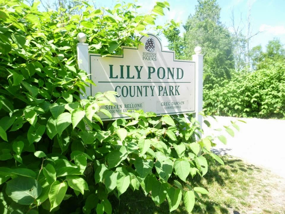 A Mike Who Likes to Hike