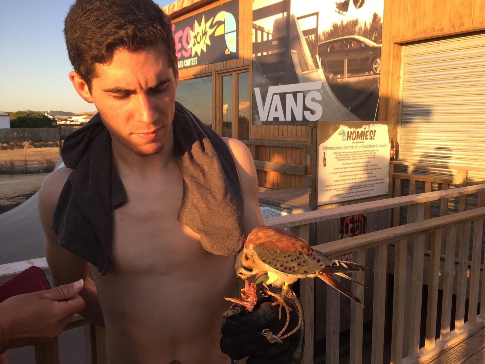 Homies surf skate deals