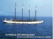 Navios  Bacalhoeiros de Viana do Castelo