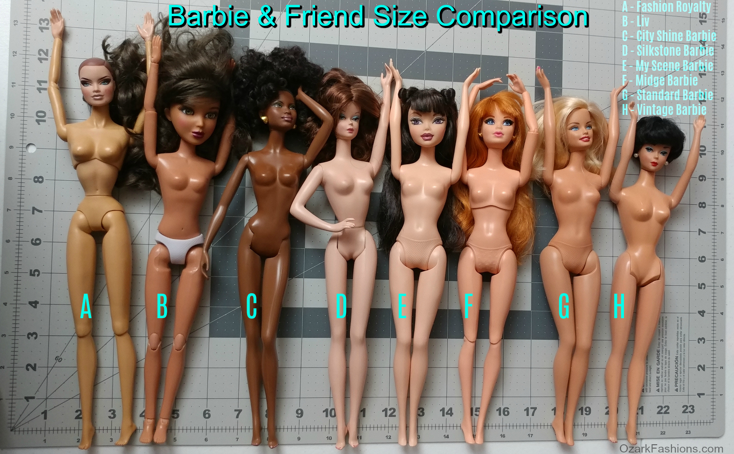 standard barbie doll size