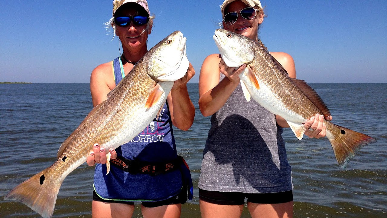 Best Fishing Spots In Tampa Bay Fish Choices