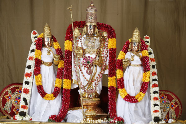What Is Sri Srinivasa Divya Anugraha Homam.