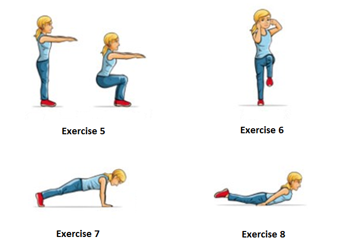 Exercises without weights (gymnastics)