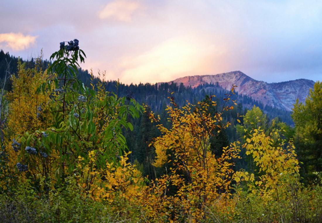 Corporate Travel Agencies Travel agency boston