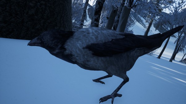 Hiking Simulator 2018 PC Full Hiking Simulator 2018 PC Full