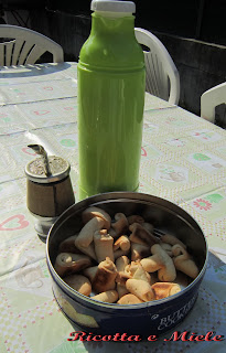 biscotti salati con lo strutto/ bizcochitos de grasa