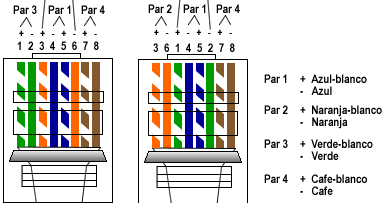 Cómo conectar los conectores RJ45?