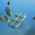 Brewery Creates Edible Six-Pack Rings that Feed, Rather Than Kill Marine Life