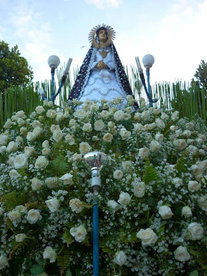 The Carozza of the Mater Dolorosa decorated with white roses