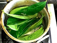 8 Cara Merebus Daun Sirsak untuk Obati Berbagai Macam Penyakit 8 Cara Merebus Daun Sirsak untuk Obati Berbagai Macam Penyakit
