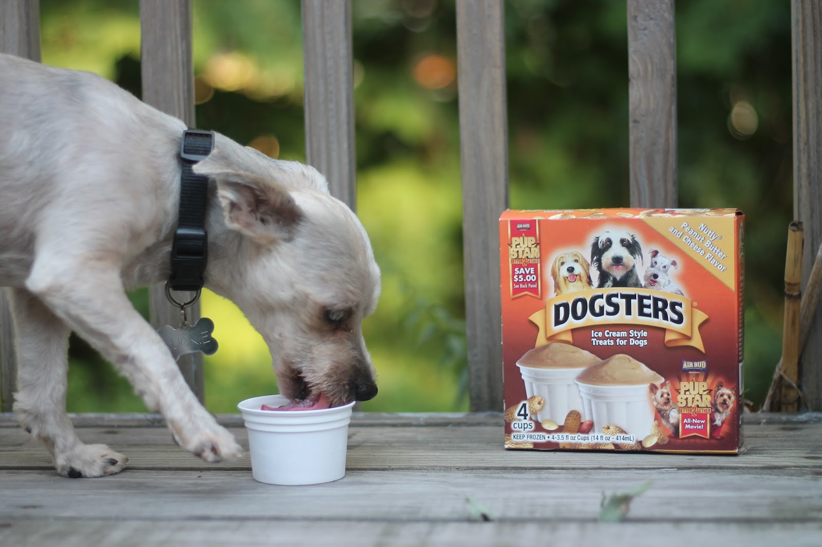 Dogsters Review Ice Cream Style Treat for Dogs Simply Tasheena