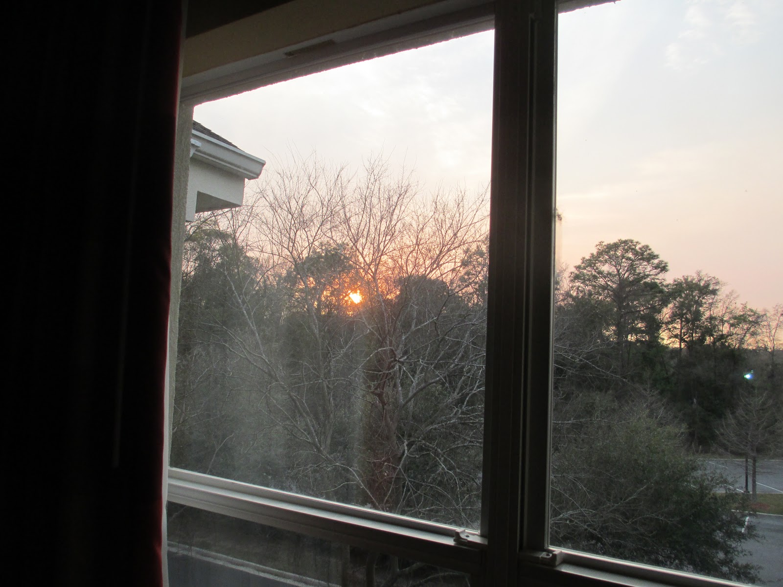 Travel Reviews & Information Mobile, Alabama / Homewood Suites by Hilton