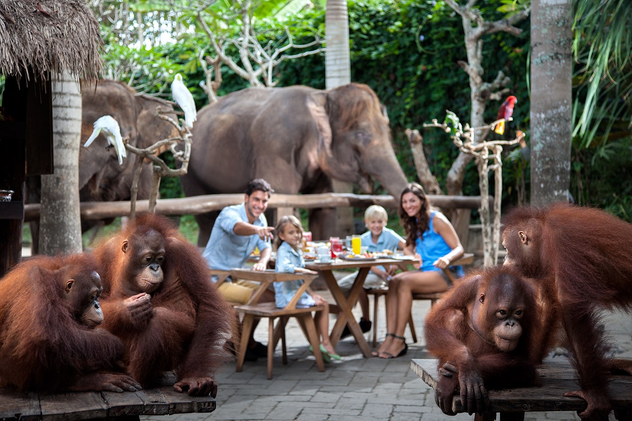 Bali Zoo Tickets Price 2018 | Online Tickets Booking Bali Zoo Park