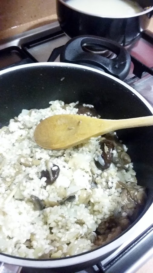 Risotto de setas