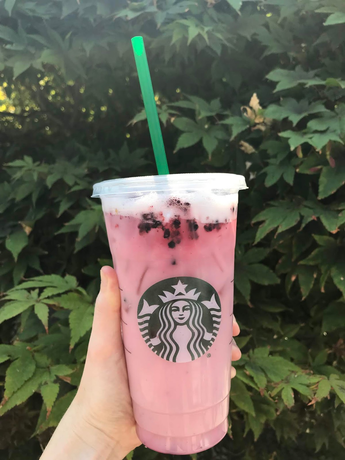 My 10 Favorite Vegan Drinks at Starbucks Boulevard