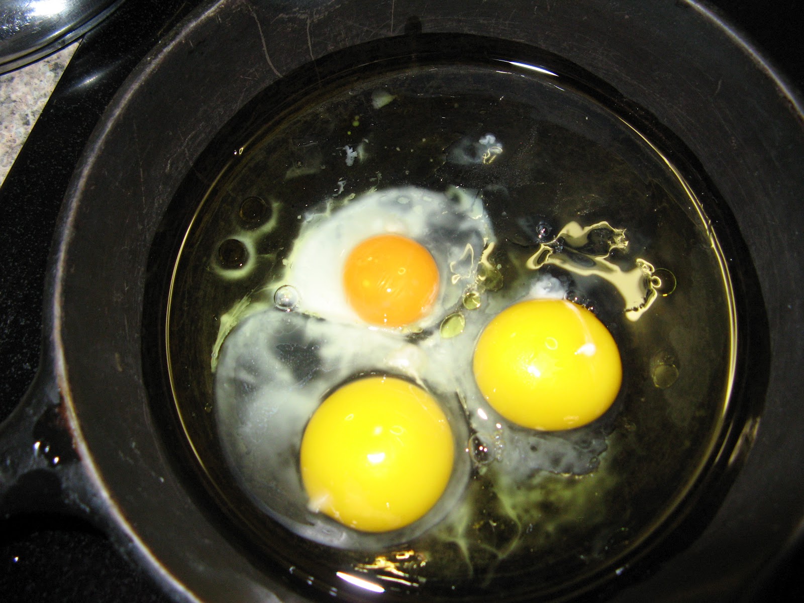 Animal Instinct The First Pullet Egg