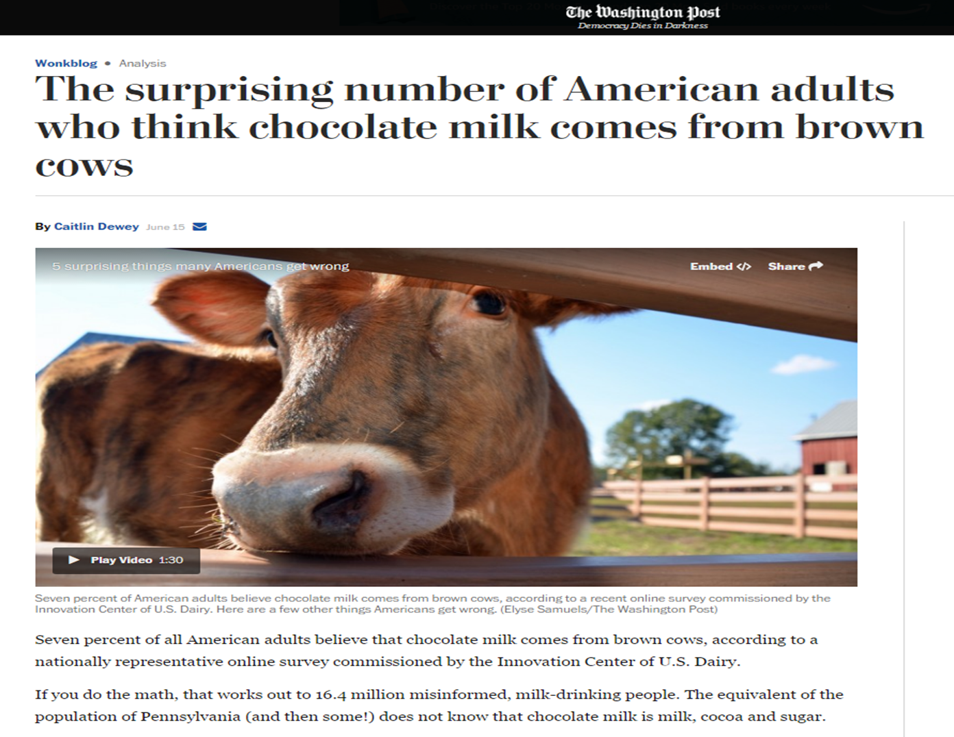 Strange stories about cows Strange stories about cows