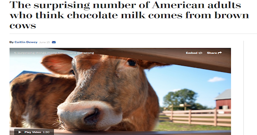 Major media spread strange dairy checkoff story about Americans thinking chocolate milk comes from brown cows