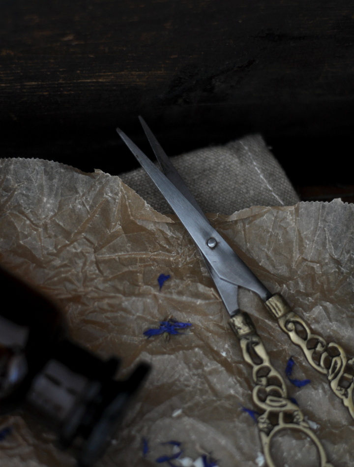 moody still-life with ancient scissors