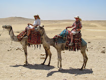 Transport around The Great Pyramids of Giza: camel power !