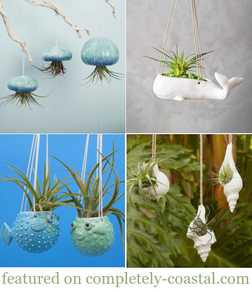 Coastal Hanging Planters