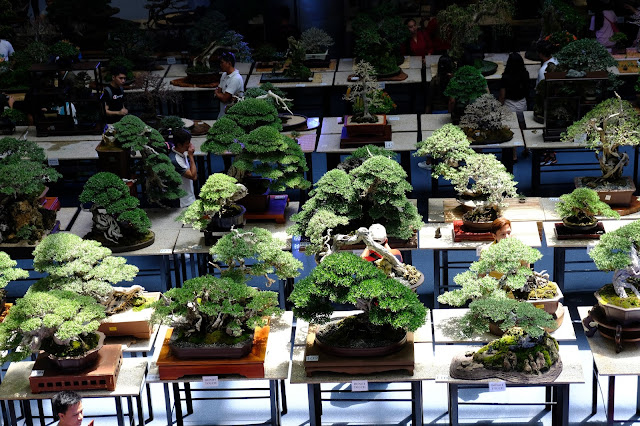 sanib pwersa bonsai show 2019