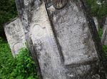 Cemetery in Wisnitz