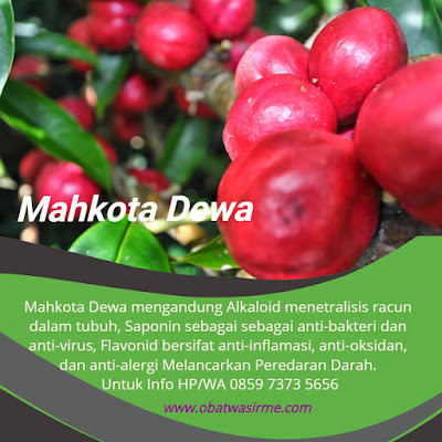 Obat Ambeien Saat Hamil Tua 9 Bulan Obat Ambeien Saat Hamil Tua 9 Bulan