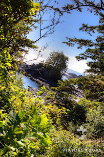 Botanical Beach Provincial Park Port Renfrew Vancouver Island