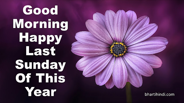 Happy Last Sunday Of The Year Happy Last Sunday Of The Year Image Flower Image