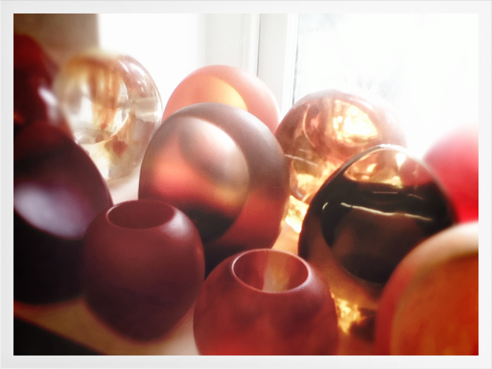 Molly's Maison Dinosaur Designs Extinct store visit