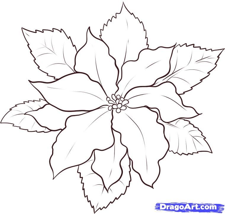 Top 10 Poinsettia coloring page for kids