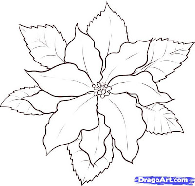Poinsettia coloring page 4