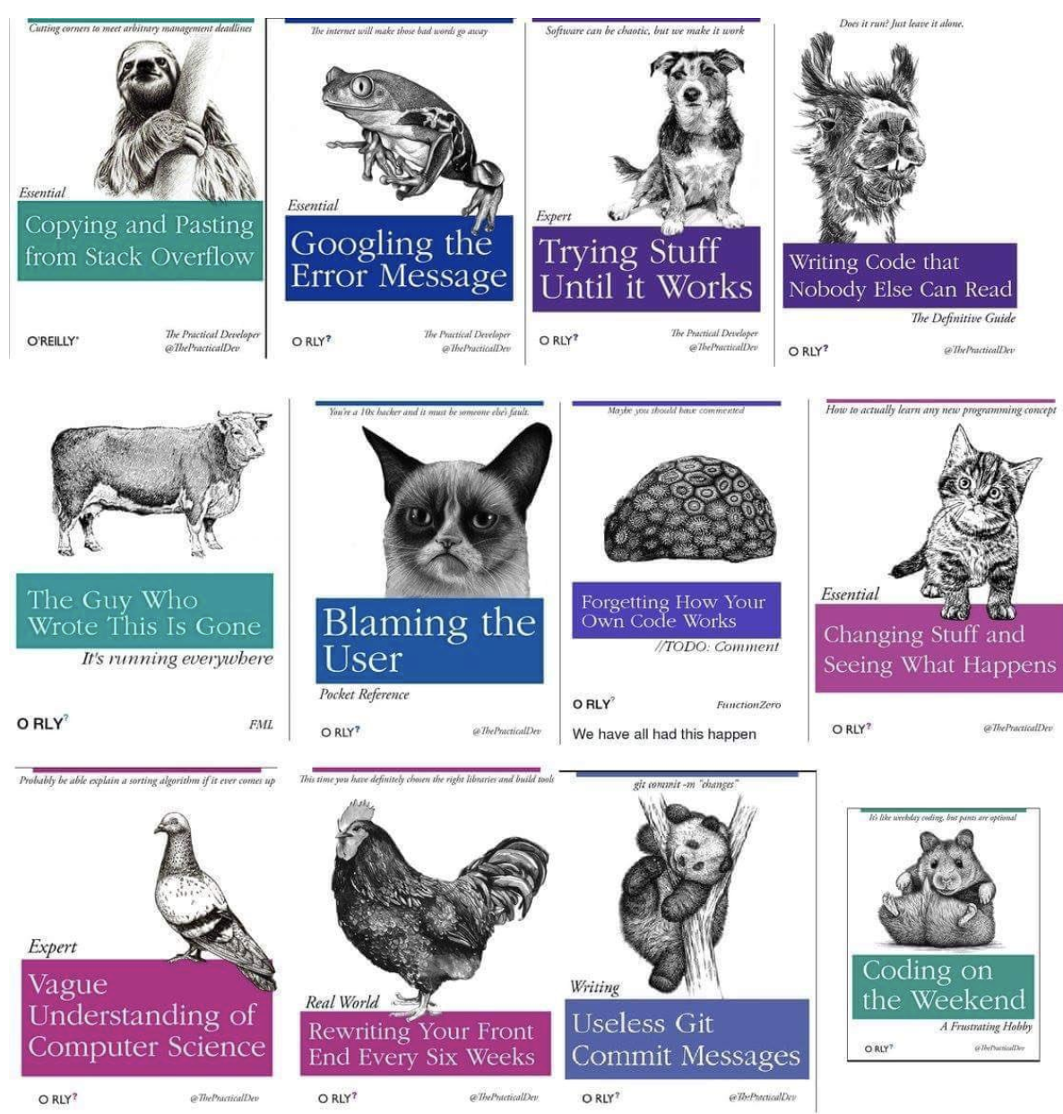 My favorite series of programming books yet