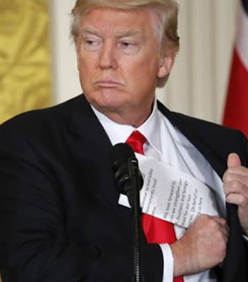 Image result for donald trump naijagists