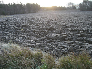 Frostig%2Bpromenad%2B%25282%2529 - Frostig promenad och fler tips hur man kan sätta igång en förlossning