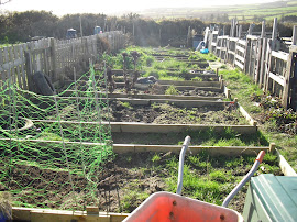 The old allotment