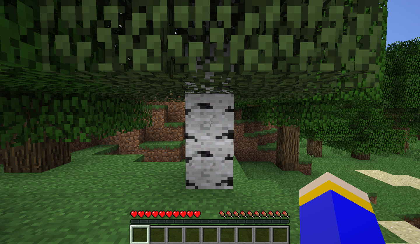 How Many Chunks Are Loaded In Minecraft