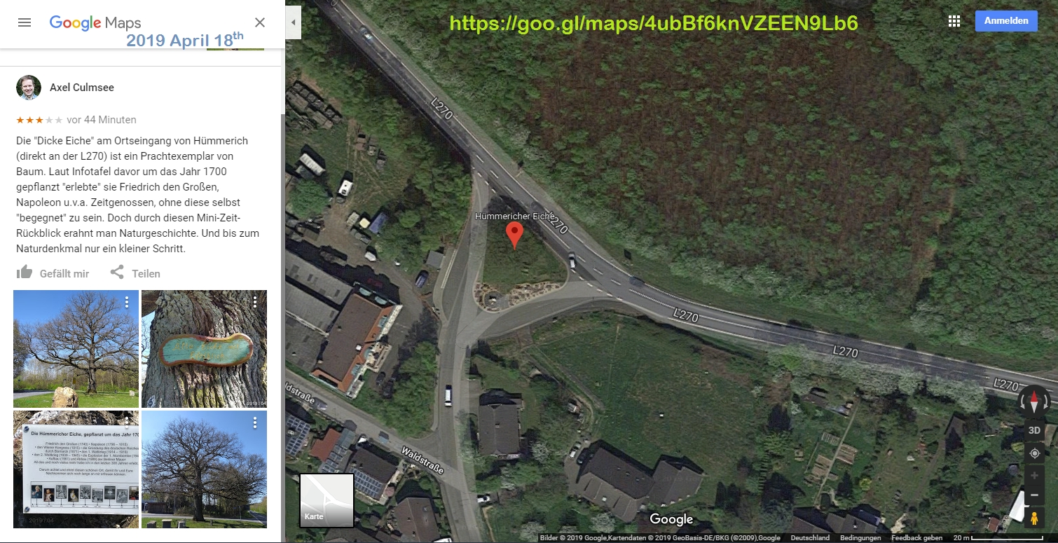 Hümmerich Eiche bei Google Maps