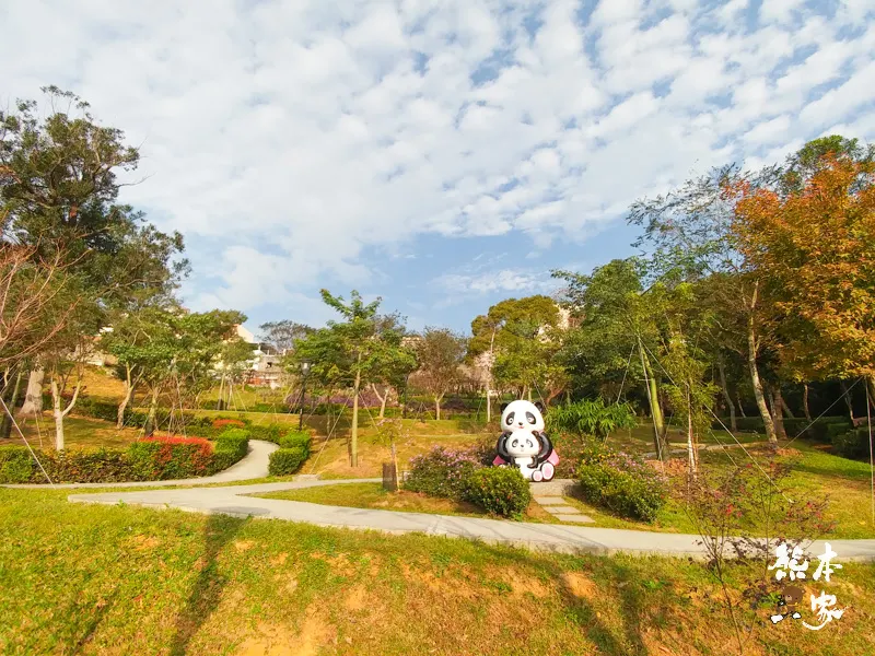 鶯歌永吉公園IG網美景點|炮仗花、櫻花齊登場還有3D立體彩繪步道