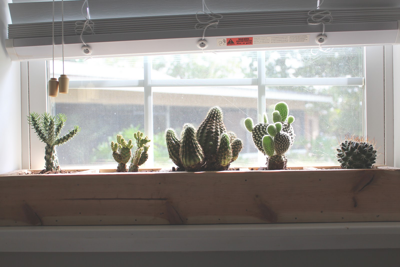Love, Jessica Anne: DIY plant box