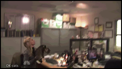 Https Encrypted Tbn0 Gstatic Com Images Q Tbn 3aand9gcqbhyh8owodfjdpdcik2wi7l3hbf9mkwkyqisvjuqskpyd44 Qy