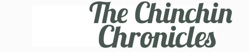 The ChinChin Chronicles