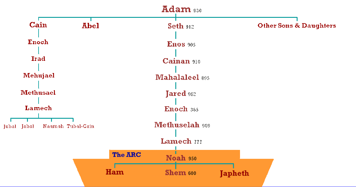 Descendants Of Adam And Chart