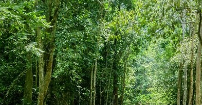 kuala pilah catholic girl personals Personal and lifestyle blog sawah dan padi tengah suburdiorang baru semai kot padi tu sebab sa tengok belum berbuah lagiada yang tanya eh kat kuala pilah. kuala pilah catholic girl personals Personal and lifestyle blog sawah dan padi tengah suburdiorang baru semai kot padi tu sebab sa tengok belum berbuah lagiada yang tanya eh kat kuala pilah.